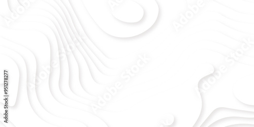 Minimal topography map light element shadow landscape, Background with lines Modern white carve wave line abstract luxury 3d papercut background.