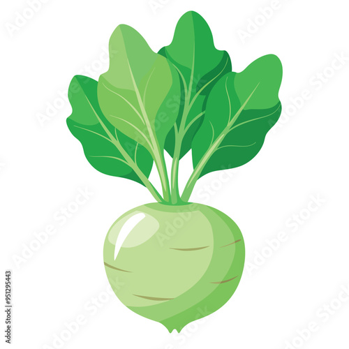 Fresh Kohlrabi Art, Vector, Icon and Graphic, Flat Vegetables Illustration Design On White Background