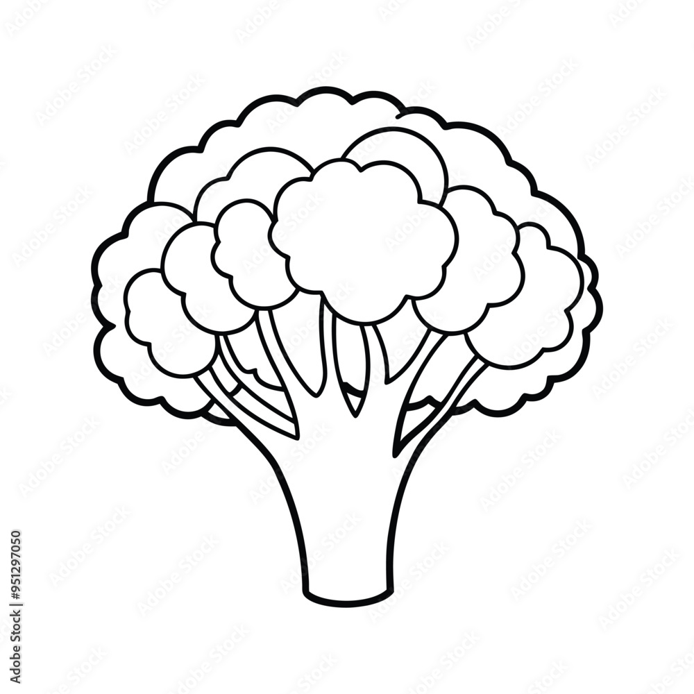 Broccoli Line Icon simple Vector Illustration. Broccoli Icon for design black with white background Broccoli Line Icon simple Vector Illustration. Broccoli Icon for design black with white background