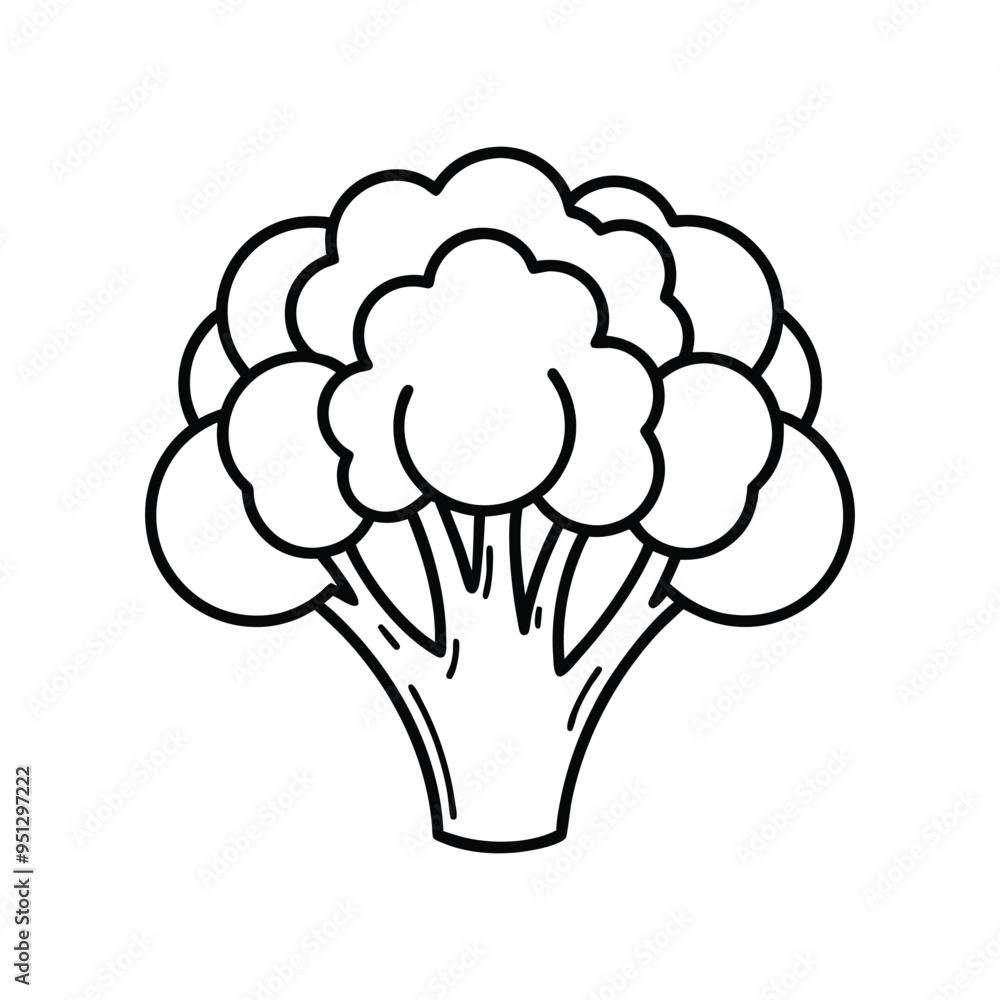 Broccoli Line Icon simple Vector Illustration. Broccoli Icon for design white background. Broccoli Line Icon simple Vector Illustration. Broccoli Icon for design white background.