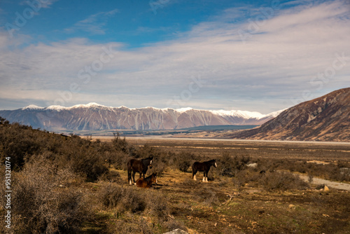 The Hakatere conservation park nestled in valley below the snow covered peaks of the Southern alps very close to Erewhon station