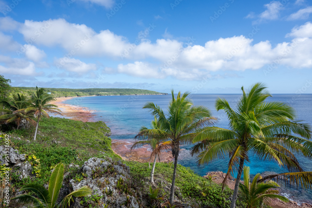 The tropical shoreline on the South Pacific island of Niue The tropical shoreline on the South Pacific island of Niue
