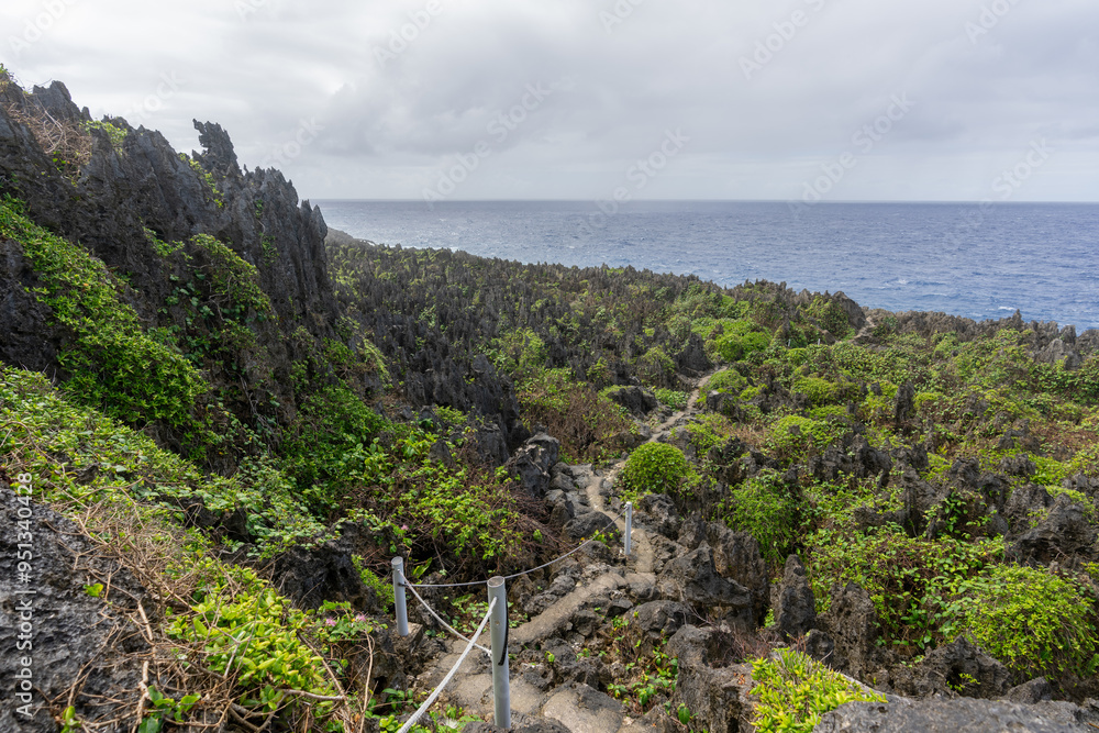 The rocky clifftop walk down to Togo chasm in the South Pacific island of Niue