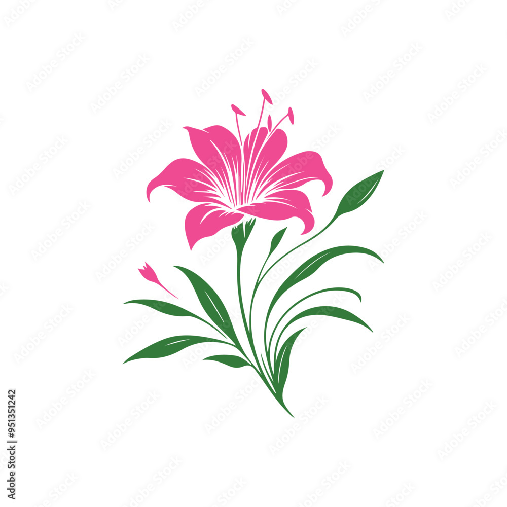 Obraz premium pink flower isolated on white
