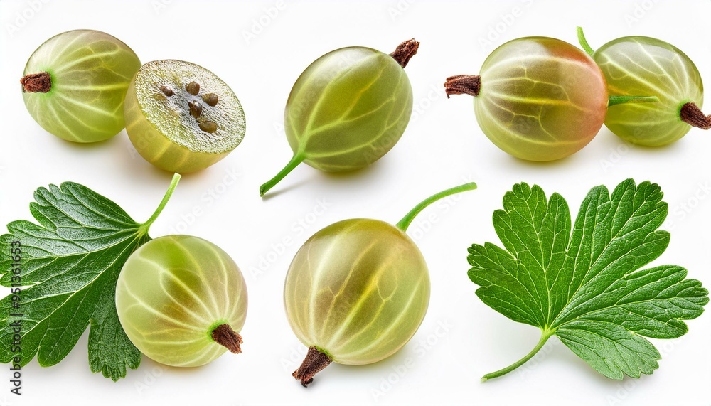 Set of Gooseberry and leaves, isolated on white background Set of Gooseberry and leaves, isolated on white background