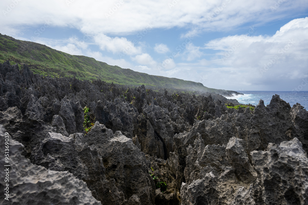 Fototapeta premium The rocky clifftop walk down to Togo chasm in the South Pacific island of Niue