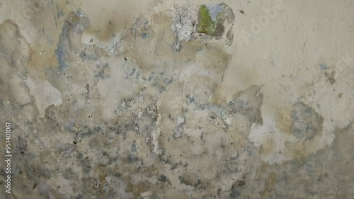 wall paint that bubbles because the wall is damp.