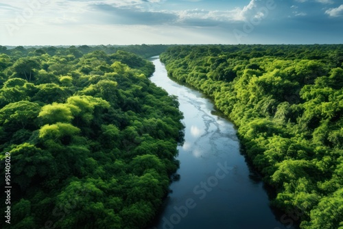 Amazon River nature river.