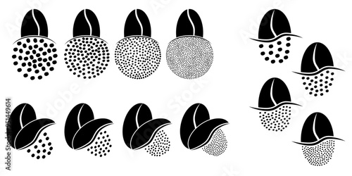 Cartoon roasted coffee beans pictogram. Coffee bean grind, size chart grains. For mug or cup. For coffee percolator. Coarse, medium or fine progress bar, loading. Manual coffee grinder.