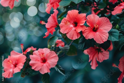 Wallpaper Mural beautiful banner with hibiscus flowers on a tree, bokeh background, copy space. ai generated Torontodigital.ca