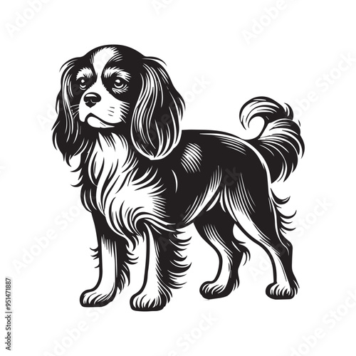 Cavalier King Dog Standing - Dog silhouette - standing dog side view Vector illustration in black and white
