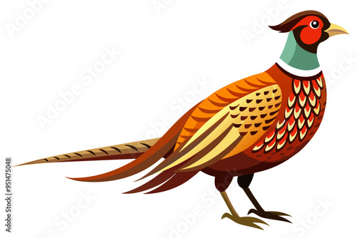 Common pheasant bird vector art illustration photo