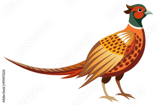 Common pheasant bird vector art illustration photo