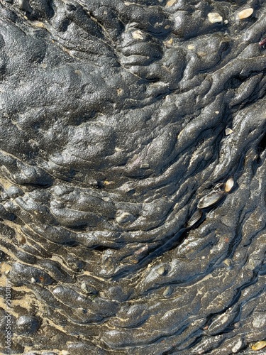 Solidified black tar up close