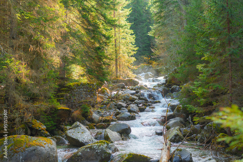 A small stormy river in the Pirin mountains in autumn. The Demyanitsa river flows in a mountain coniferous forest photo