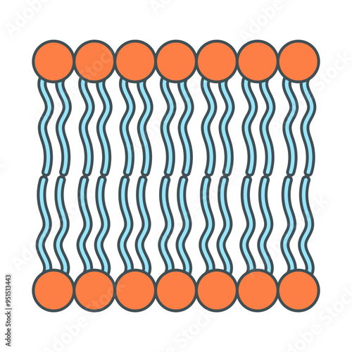 lipids cell illustration