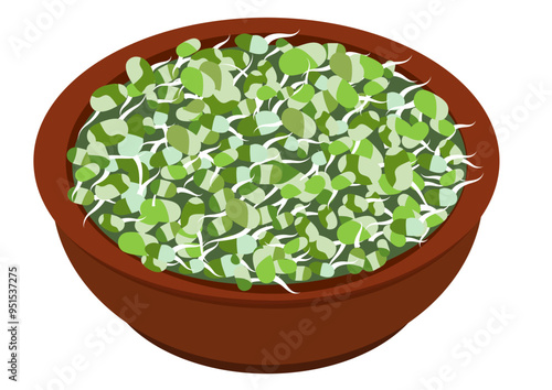 Sprouts, Mung matki, Moong matki illustration, healthy sprouts, healthy Sprouts, Mung matki, Moong matki illustration, healthy sprouted bean