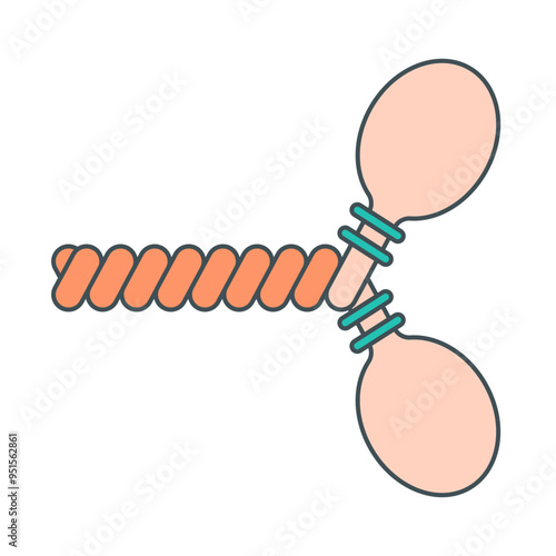 myosin illustration