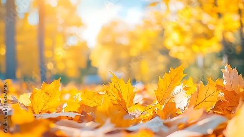 Golden Autumn Leaves Close-Up with Bokeh Background