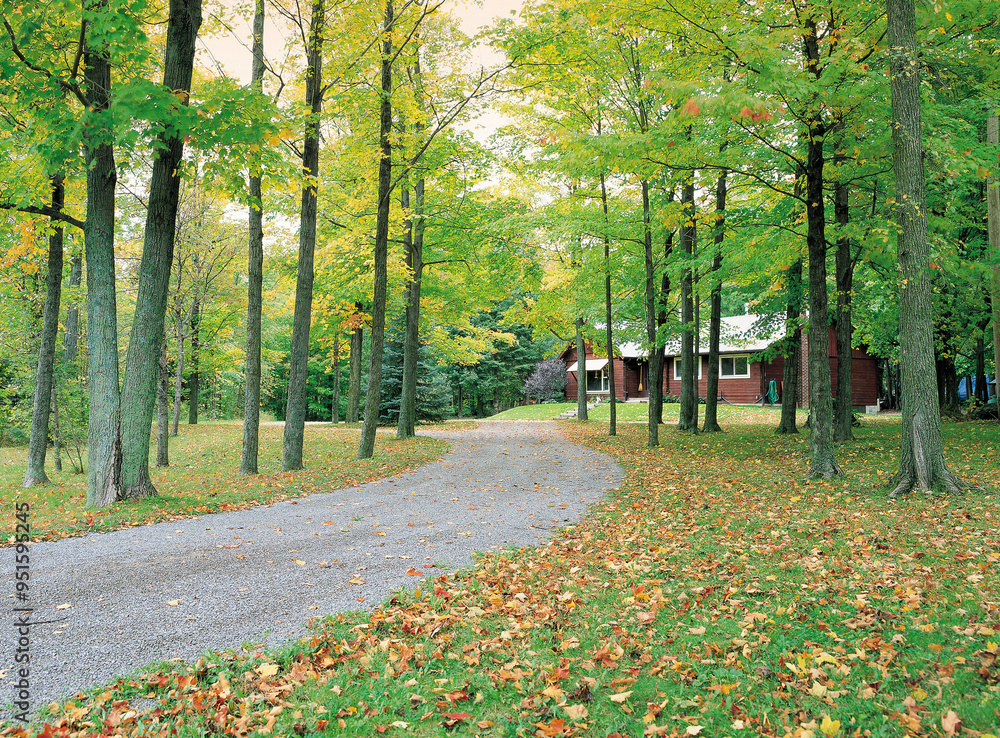 Naklejka premium Toronto, Canada - September 30, 2003: Autumnal view of dirt road and fallen leaves with maple trees and against a detached house in the backgroud