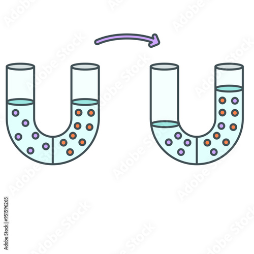 osmosis illustration