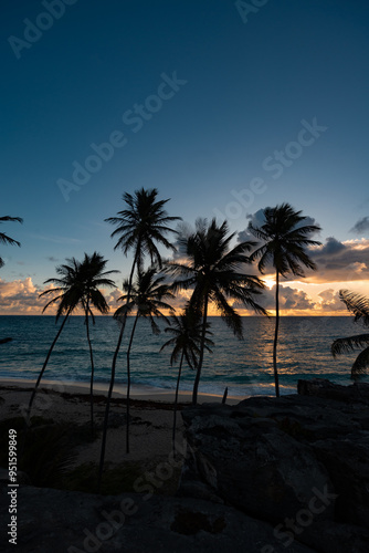 sunrise on the beach