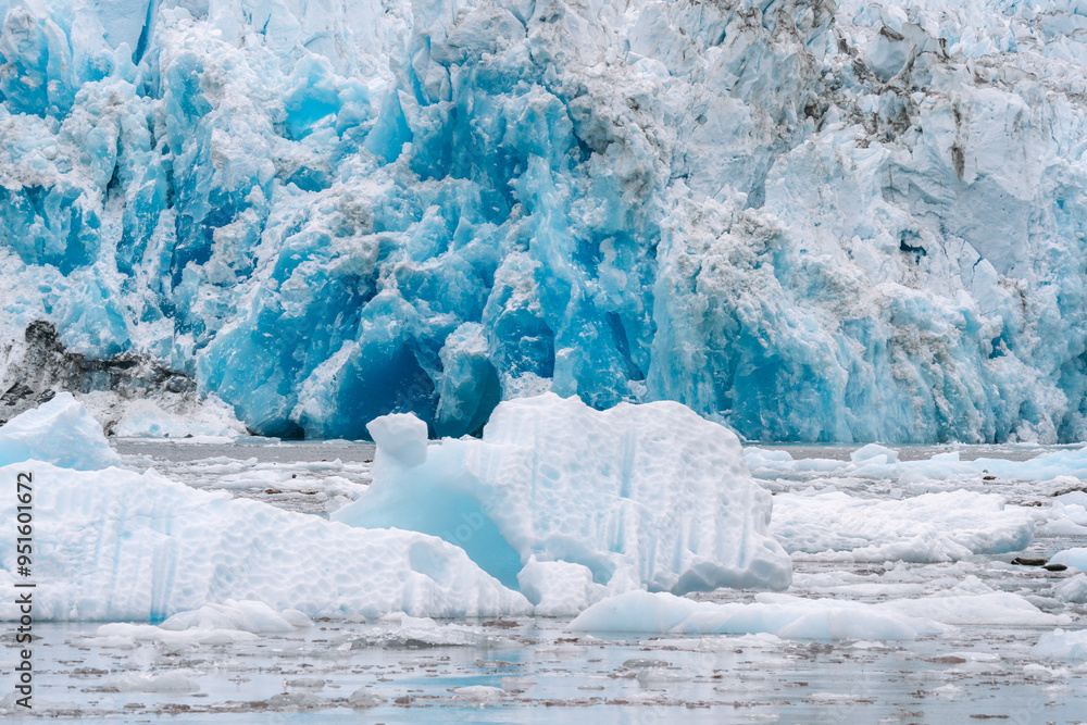 Details of sawyer glacier at the head of Tracy Arm fjord in Alaska near Juneau during summer Details of sawyer glacier at the head of Tracy Arm fjord in Alaska near Juneau during summer