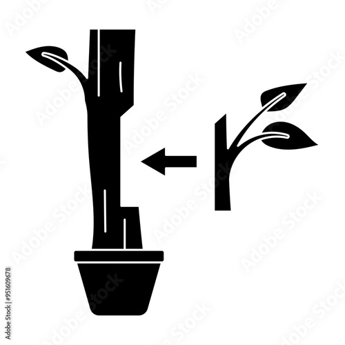 plant grafting