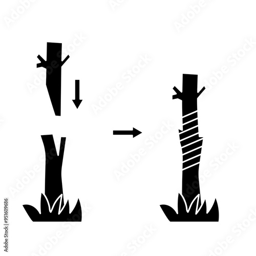 plant grafting