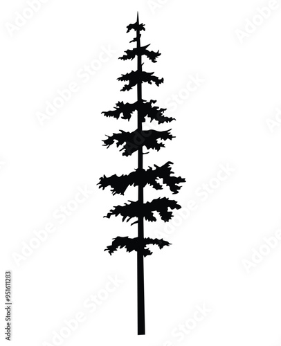 tree pine silhouette, cypress evengreen vector, cedar forest wood illustration, 
conifer tree logo template, tattoo  design, white and black drawing illustration, 
icon tree template
