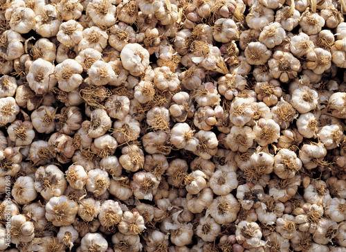 Ganghwa-gun, Gyeonggi-do, South Korea - July 1, 2006: Close-up of stacked garlic roots for sale at a traditional market