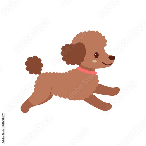 toy poodle_03