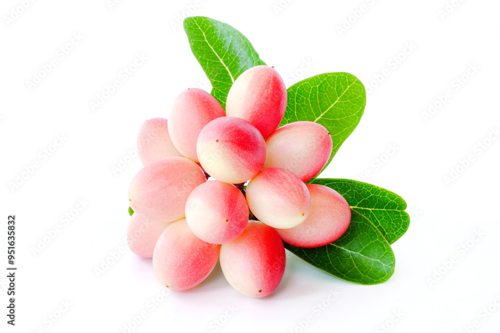 carissa carandas with leaves on white background.