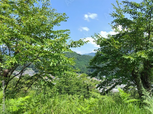 The summit of the ruins of Katsuyama Castle in Tsuru City, Yamanashi Prefecture