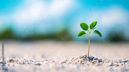 Innovation is the practical implementation of ideas that result in the introduction of new goods or services or improvement in offering goods or services.