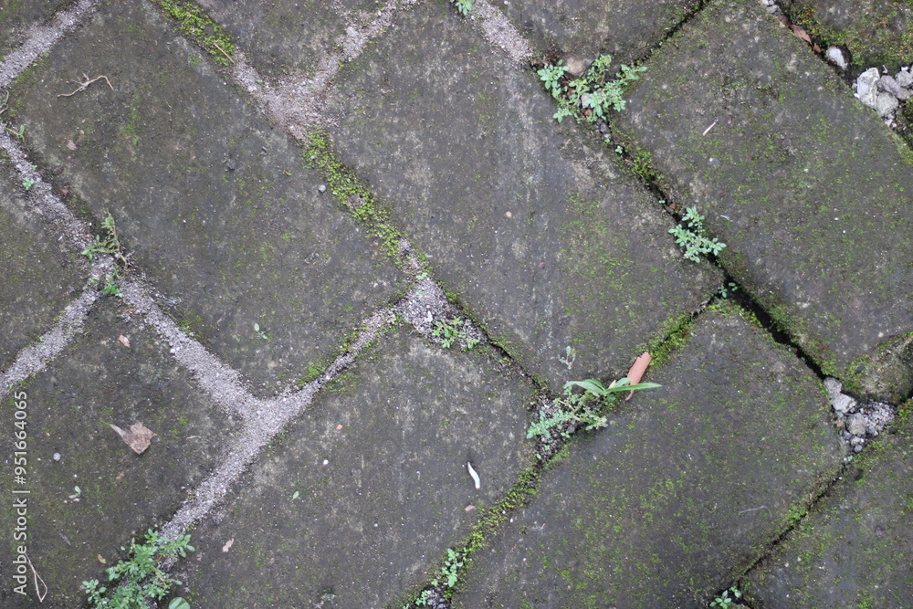 Obraz premium Close-up of a weathered concrete pathway with moss and cracks.