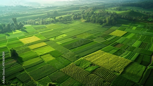 Beautiful Farm Land Formation At Argapura Majalengka Indonesia photo