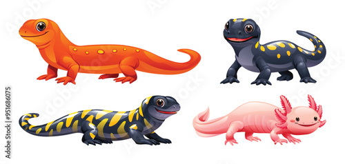 Set of salamander cartoon illustration. Vector reptile isolated on white background