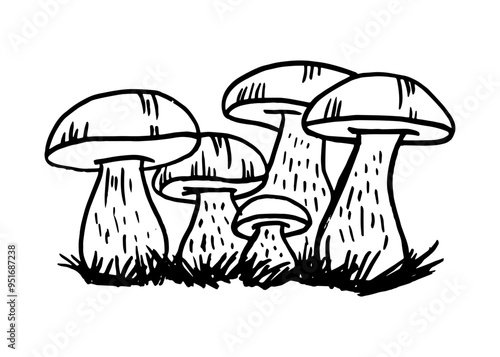 Mushrooms hand-drawn doodle. Contour black line mushroom. Vector illustration