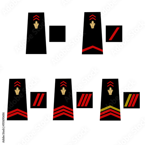 Ensemble des galons de l'armée de terre française: Pompier de Paris. Homme du rang. Sapeur 1èr et 2ème classe, caporal, caporal_chef, 