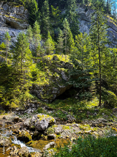 mountain  in autumn, beatiful green color of the trees with a beauty light