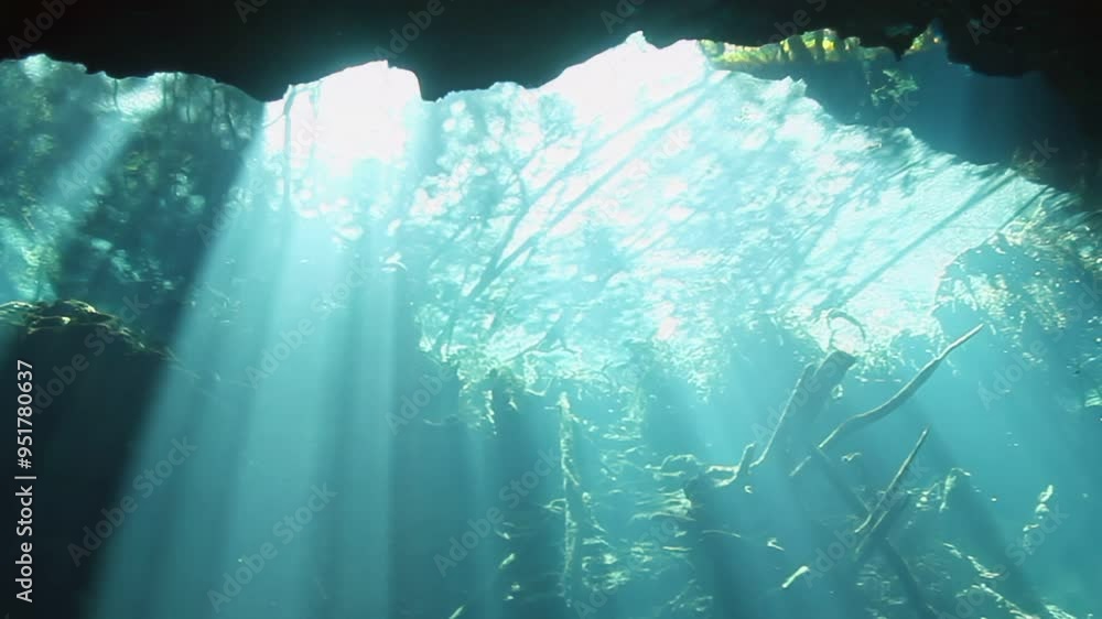 A bright blue ocean with sunlight shining through the water. The sunlight is casting a warm glow on the water and the surrounding plants