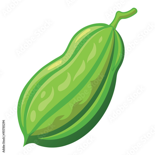 Fresh Bitter Gourd Art, Vector, Icon and Graphic, Flat Vegetables Illustration Design On White Background