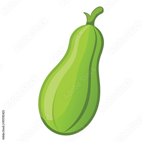 Fresh Bottle Gourd Art, Vector, Icon and Graphic, Flat Vegetables Illustration Design On White Background