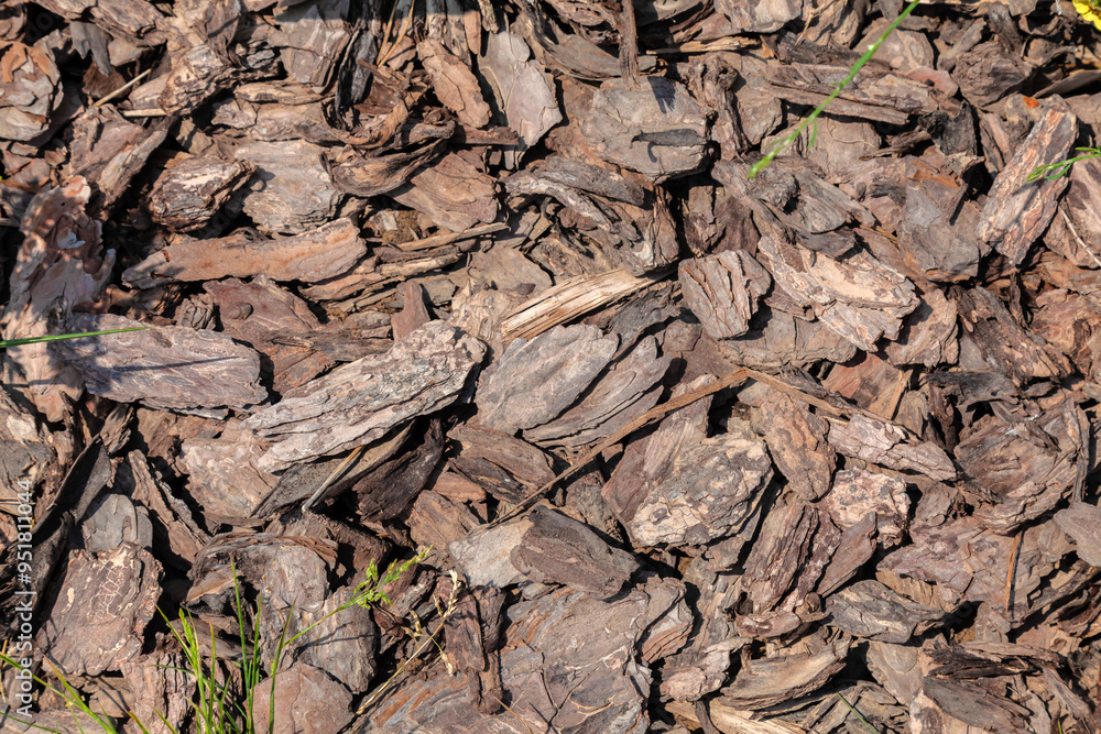 pine bark mulching, pile of wood compost pieces for gardening and landscape maintenance. Top view of pine bark mulch chips texture pine bark mulching, pile of wood compost pieces for gardening and landscape maintenance. Top view of pine bark mulch chips texture