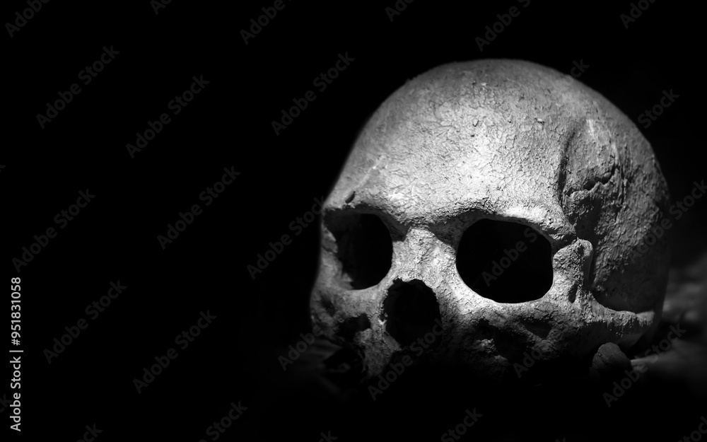 Scary skeleton Scary skeleton