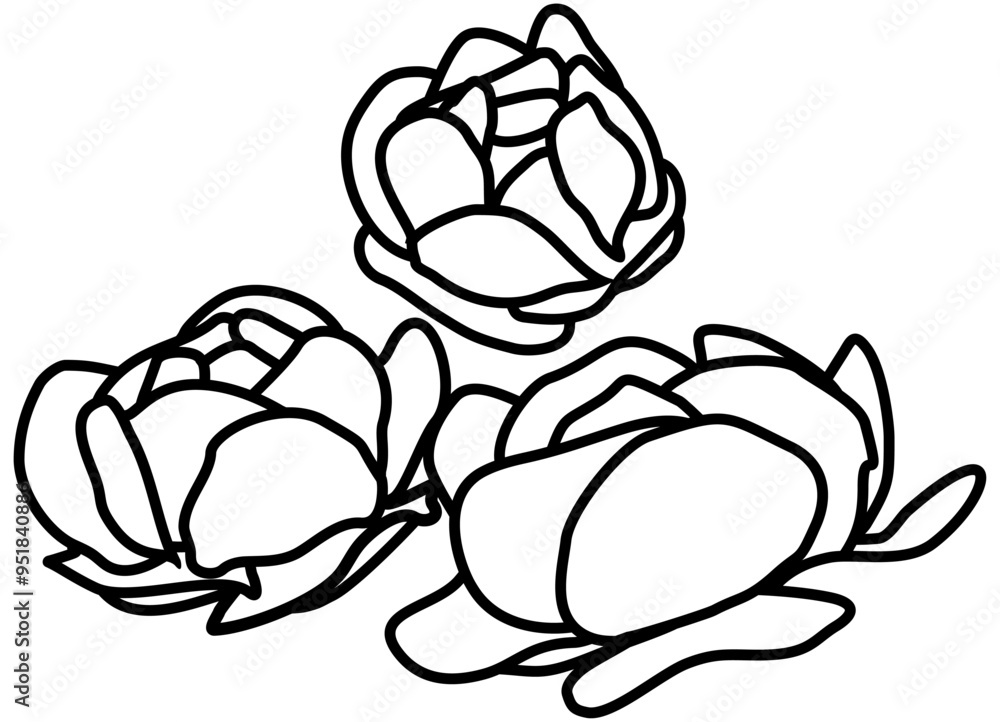 Vector black and white pattern of abstract flowers from black lines on a white background for covers, advertising, packaging. Abstract floral vector background Vector black and white pattern of abstract flowers from black lines on a white background for covers, advertising, packaging. Abstract floral vector background