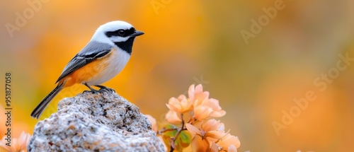  A small bird atop a rock, surrounded by an orange and yellow flowering plant in the background photo