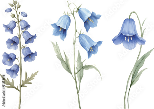 watercolour clipart of a blue bell 