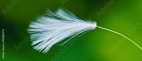 Dandelion flowers float in mid-air against a bright green background. Fine white, feathery fibers spread out from the seeds, creating a parachute-like structure that helps disperse the wind.